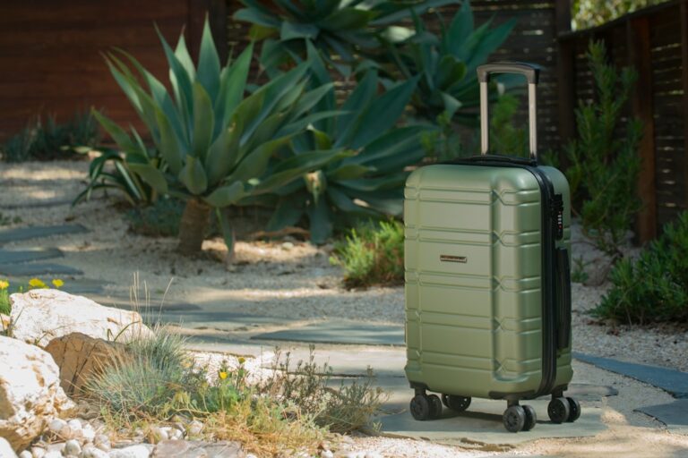 Essential Travel Accessories for Stress-Free Packing