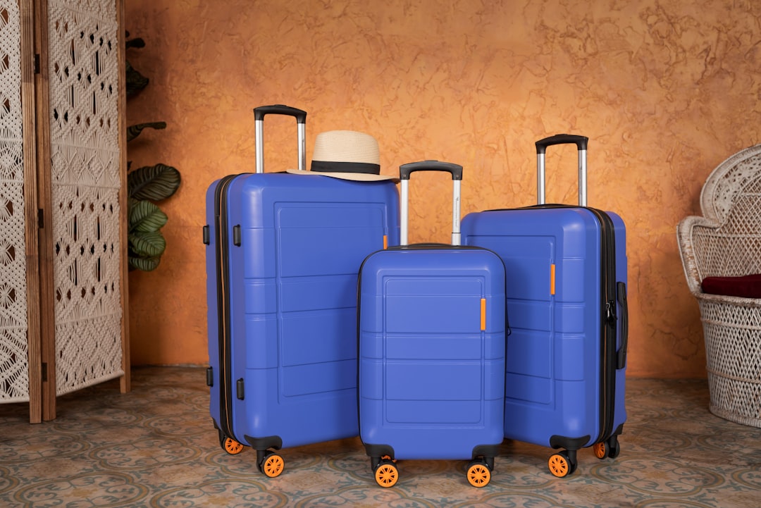 Organize Your Travel Gear with These Key Luggage Items